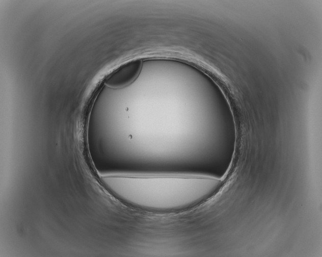 X0000113221506200909100911