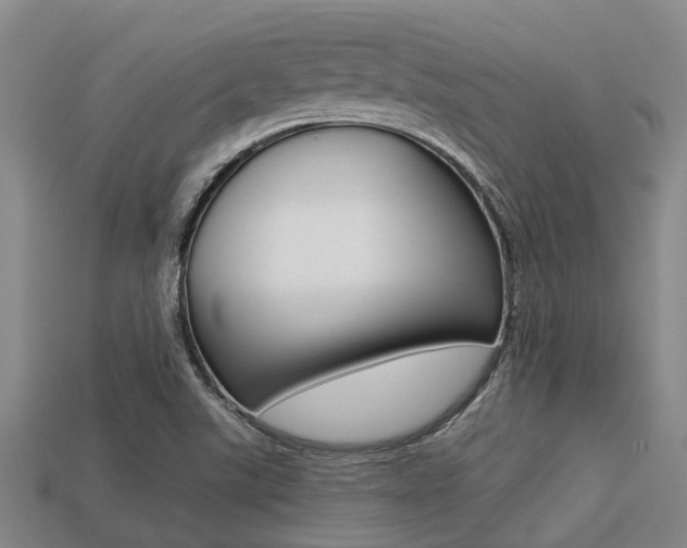 X0000113221507200909100911