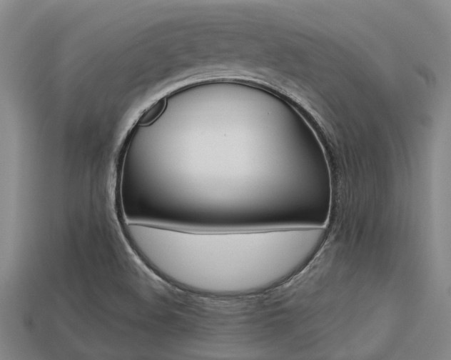 X0000113221508200909100911