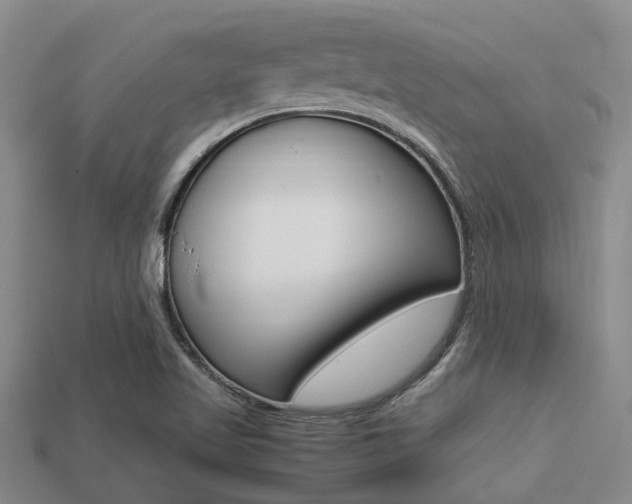 X0000113221509200909100911