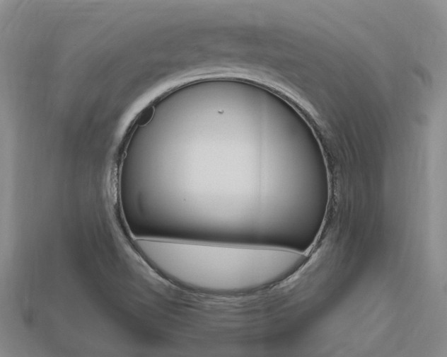 X0000113221510200909100911