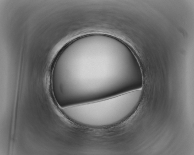 X0000113221511200909100911