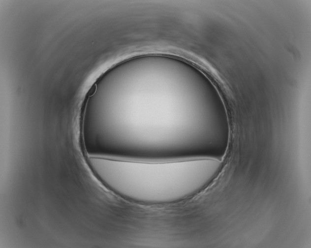 X0000113221512200909100911
