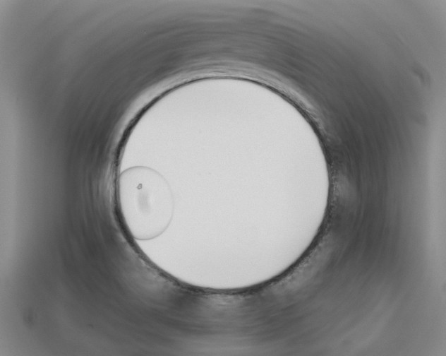X0000113221514200909100911