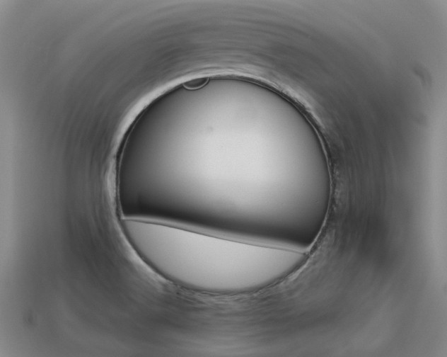 X0000113221516200909100911