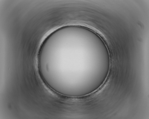 X0000113221517200909100911