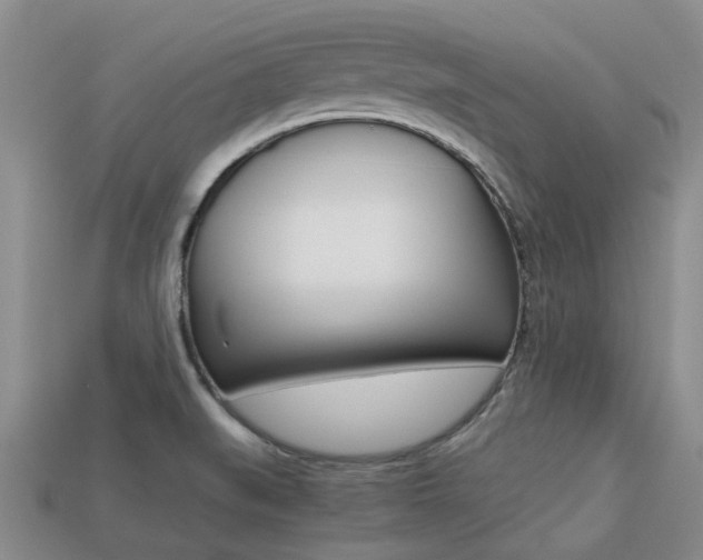 X0000113221519200909100911