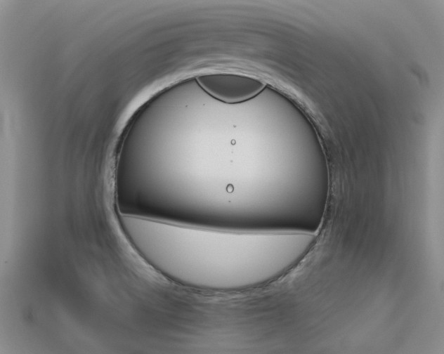 X0000113221522200909100911