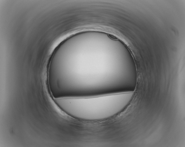 X0000113221523200909100911