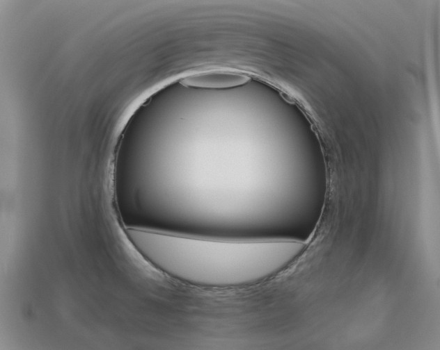 X0000113221524200909100911