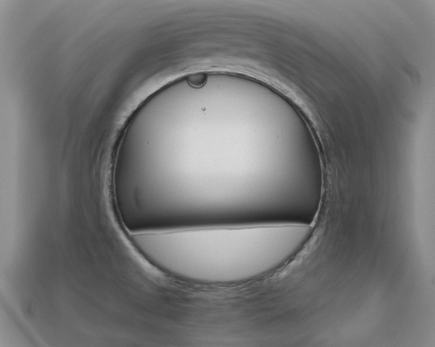 X0000113221525200909100911