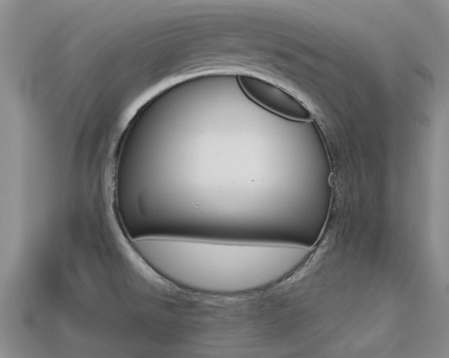 X0000113221526200909100911