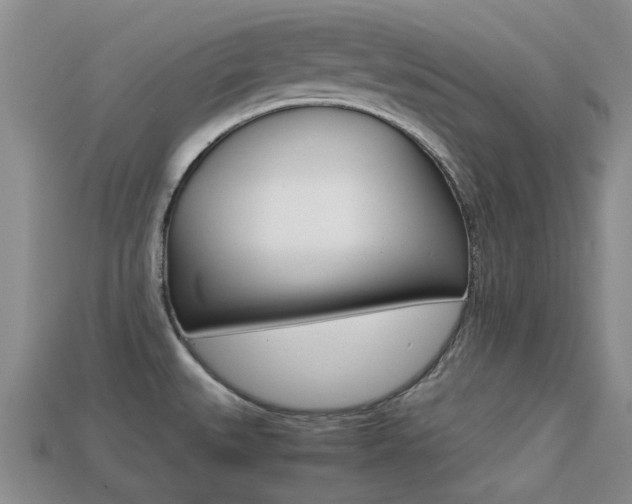 X0000113221527200909100911