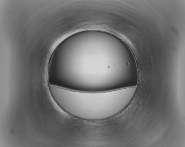 X0000113221528200909100911
