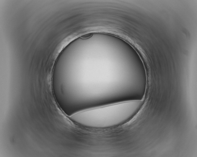 X0000113221529200909100911