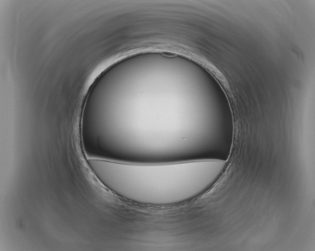 X0000113221530200909100911