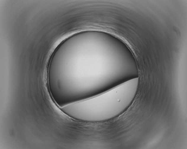 X0000113221531200909100911
