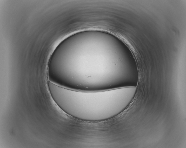 X0000113221532200909100911