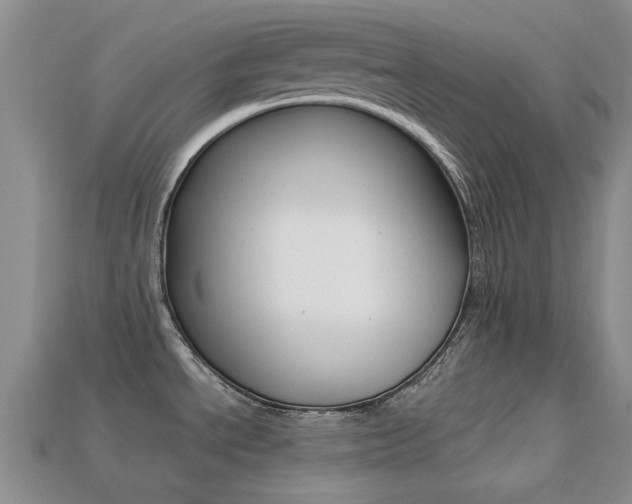 X0000113221534200909100911
