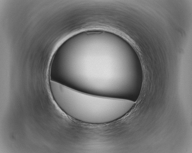X0000113221536200909100911