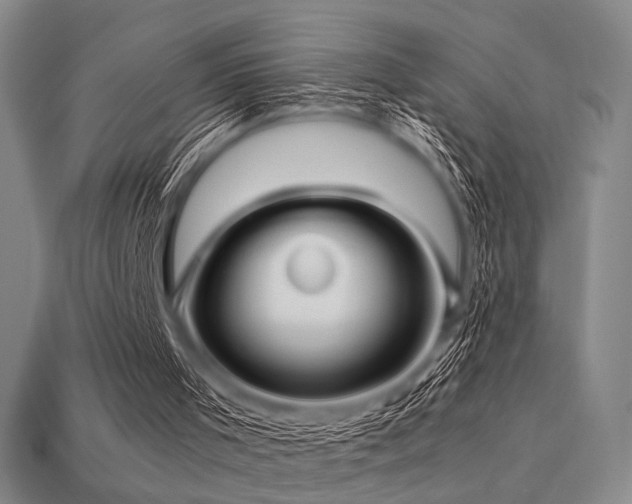 X0000113220001200909101200