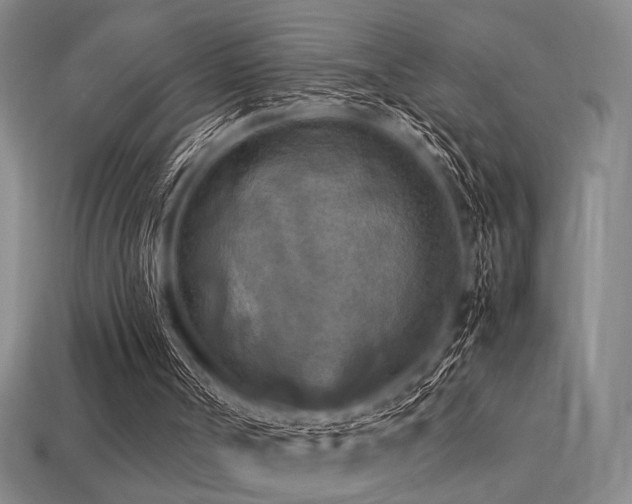 X0000113220002200909101200