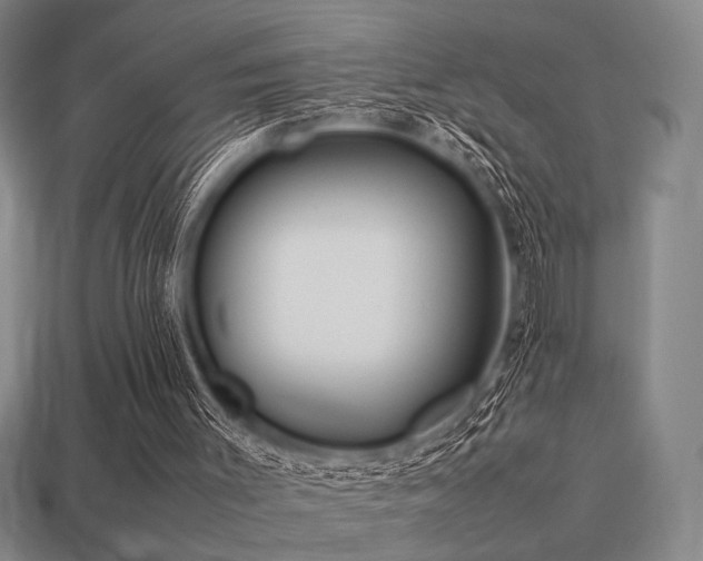 X0000113220003200909101200