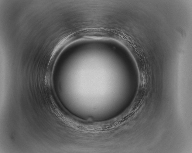 X0000113220004200909101200