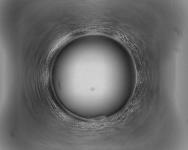 X0000113220005200909101200