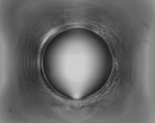 X0000113220006200909101200