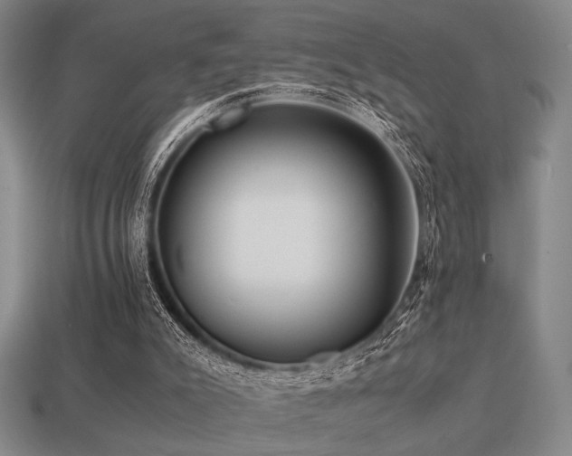 X0000113220007200909101200