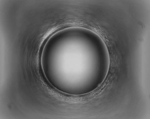 X0000113220008200909101200