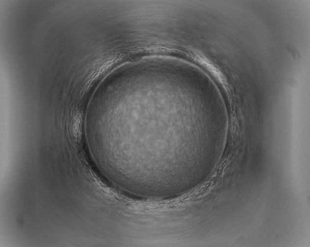 X0000113220009200909101200