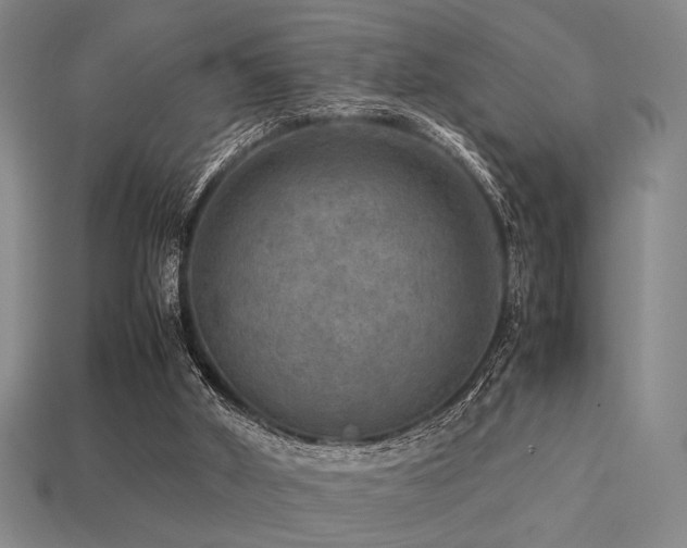 X0000113220010200909101200