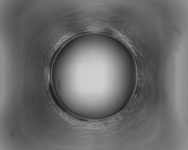 X0000113220011200909101200