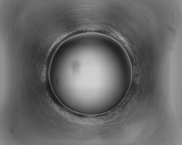 X0000113220012200909101200