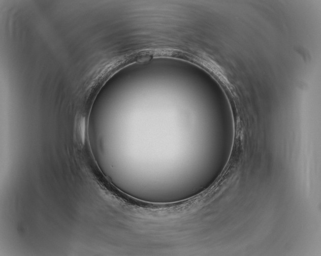 X0000113220013200909101200