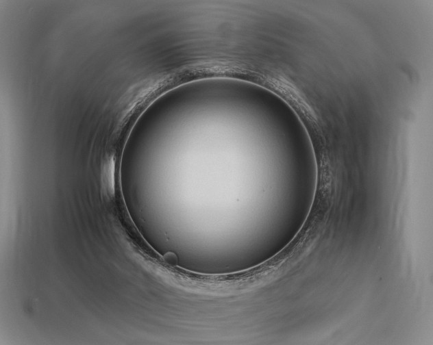 X0000113220014200909101200