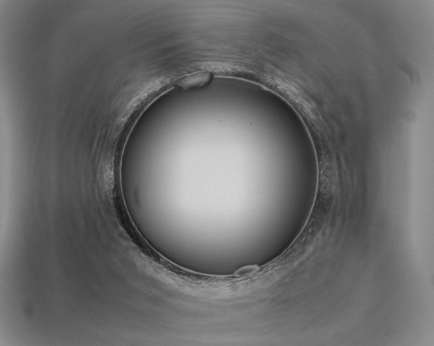 X0000113220015200909101200