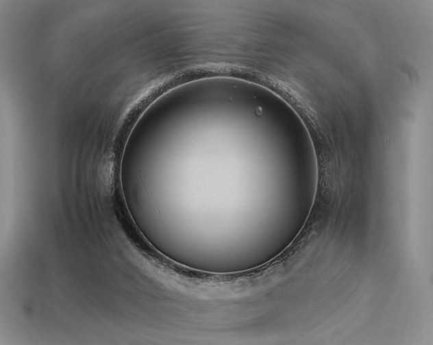 X0000113220016200909101200