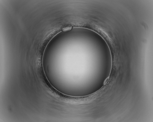 X0000113220017200909101159