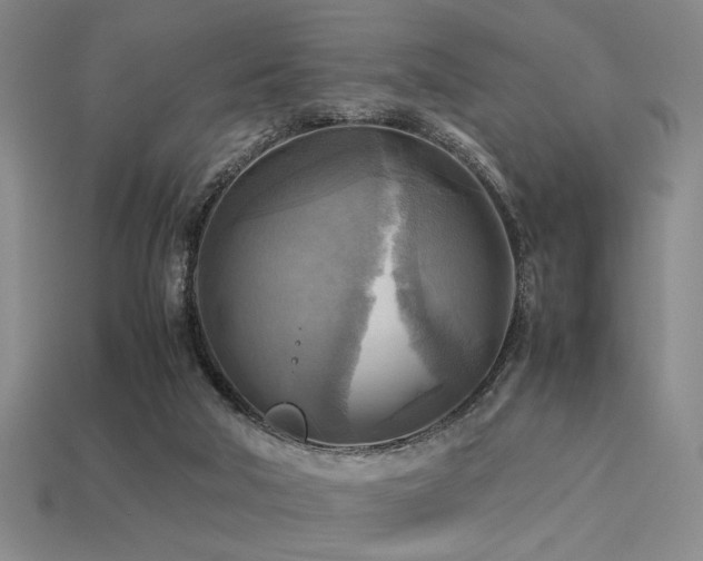 X0000113220018200909101159