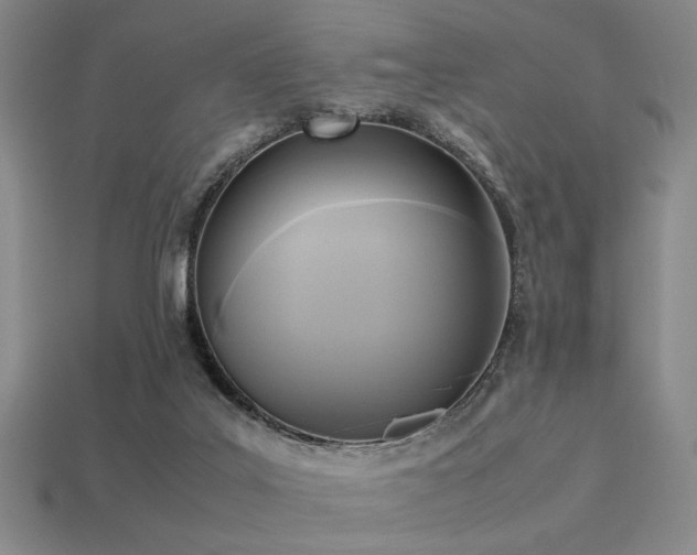 X0000113220019200909101159