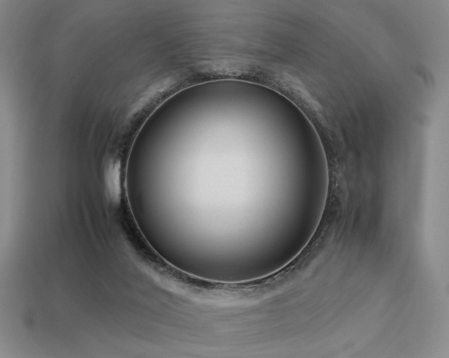 X0000113220020200909101159