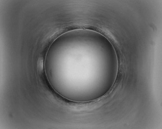 X0000113220021200909101159