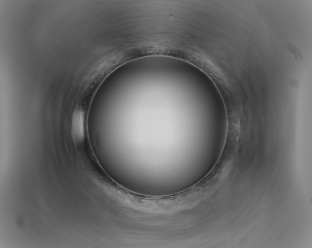 X0000113220022200909101159