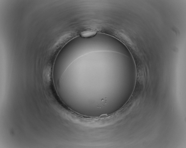 X0000113220023200909101159