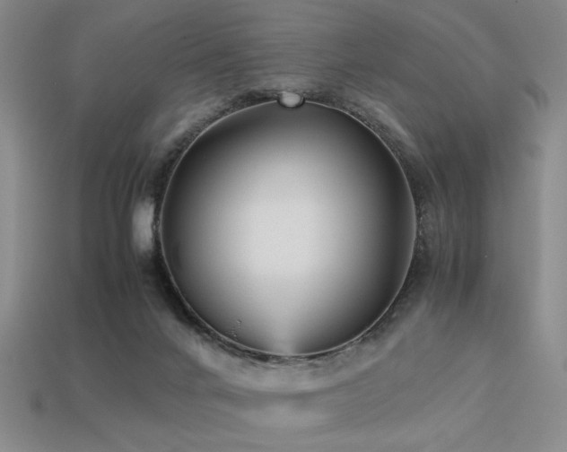 X0000113220024200909101159