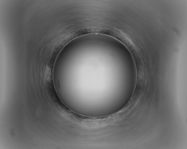 X0000113220025200909101159