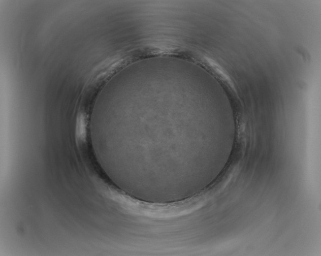 X0000113220026200909101159